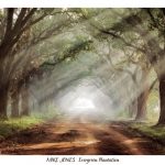 Evergreen Plantation