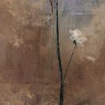 Flowers of June Series III