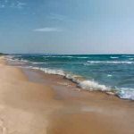 The Sand and the Sea