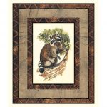 Rustic Raccoon