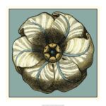 Floral Medallion IV