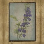 Photographic Floral Collage I