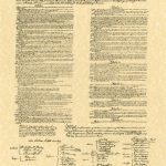 Constitution on Khaki