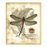 Regal Dragonfly I