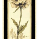 Neutral Poppy Study II