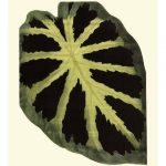Grandiose Leaves III
