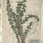 Postcard Wildflowers IV ***