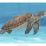 Ocean Sea Turtle I