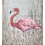 American Flamingo II