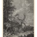 Woodland Deer III
