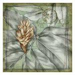 Postmark Tropicals II