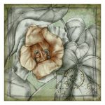 Postmark Tropicals IV