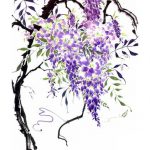 Wisteria Garden I