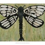 Dragonfly Text