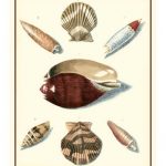 Studies in Symmetry VI