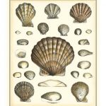 Of Sea and Shore III