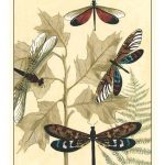 Graphic Dragonflies in Nature I
