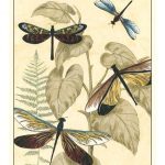 Graphic Dragonflies in Nature II