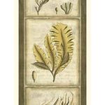 Exotic Seaweed Panel II