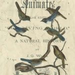 Vintage Ornithology II