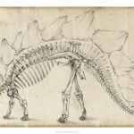 Dinosaur Study III