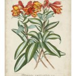 Tropical Array III