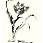 Studies in Ink - Tulip