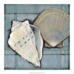 Seashell Sketch II