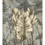 Tulip & Wildflowers VII