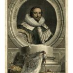 Houbraken Portrait IV