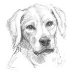 Constant Companion I