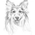 Constant Companion II