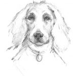 Constant Companion III