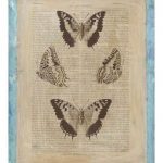 Bookplate Butterflies II