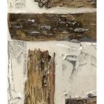 Birch Bark Abstract I