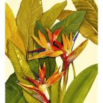 Tropical Bird of Paradise