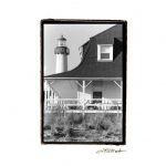 Cape May Afternoon II