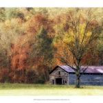 Waiting For the Harvest