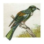 Mini Vintage Birds IX