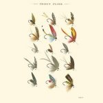 Trout Flies I