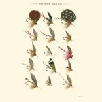 Trout Flies II