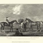 Eclipse & Shakespeare