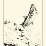 Fisherman's Delight II