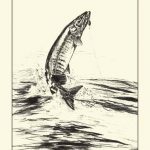 Fisherman's Delight III