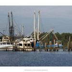 Small Safe Harbor V  ***