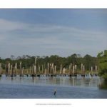 Small Safe Harbor VI  ***