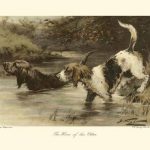 The Home of the Otter