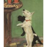 Terrier Trouble V