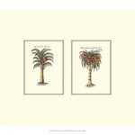 Miniature Palm II