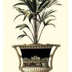 Elegant Urn with Foliage I
